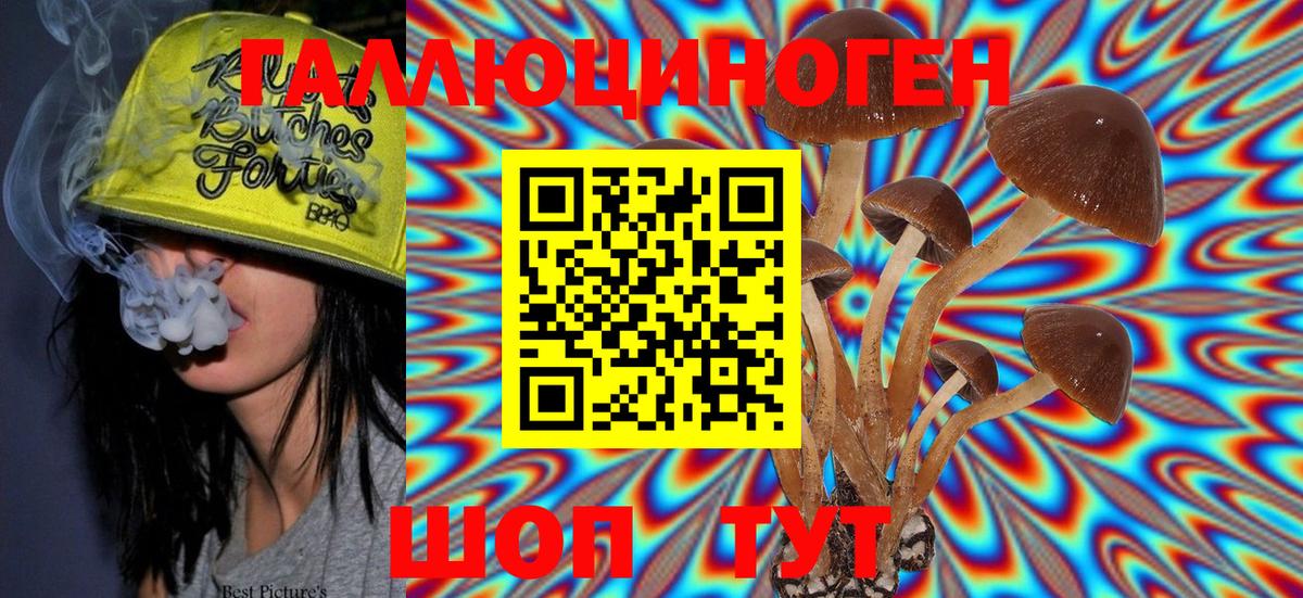 Псилоцибиновые грибы Magic Shrooms Кингисепп