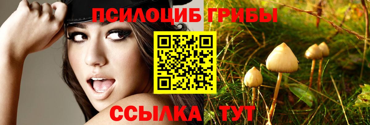 Псилоцибиновые грибы GOLDEN TEACHER  Вход с VPN  Кингисепп 
